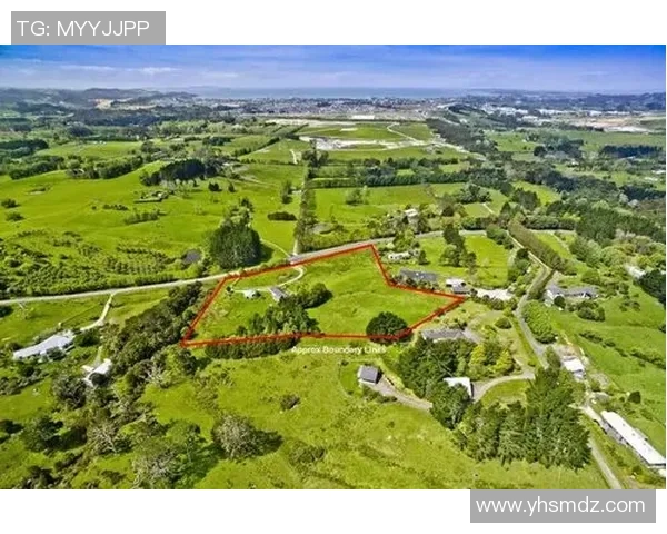 加克波在国际赛场上的崛起与未来发展潜力分析 加克波在国际赛场上的崛起与未来发展潜力分析