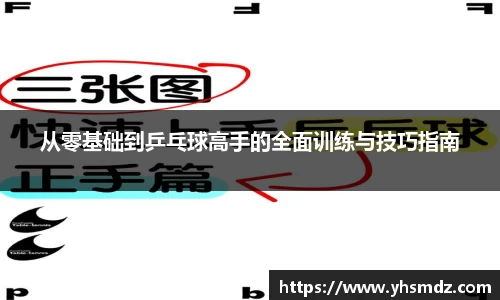 从零基础到乒乓球高手的全面训练与技巧指南